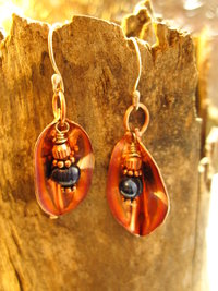 Copper foldform dangle earrings fresh water blue pearl